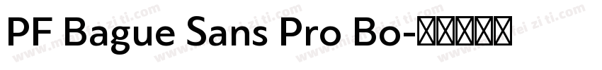 PF Bague Sans Pro Bo字体转换